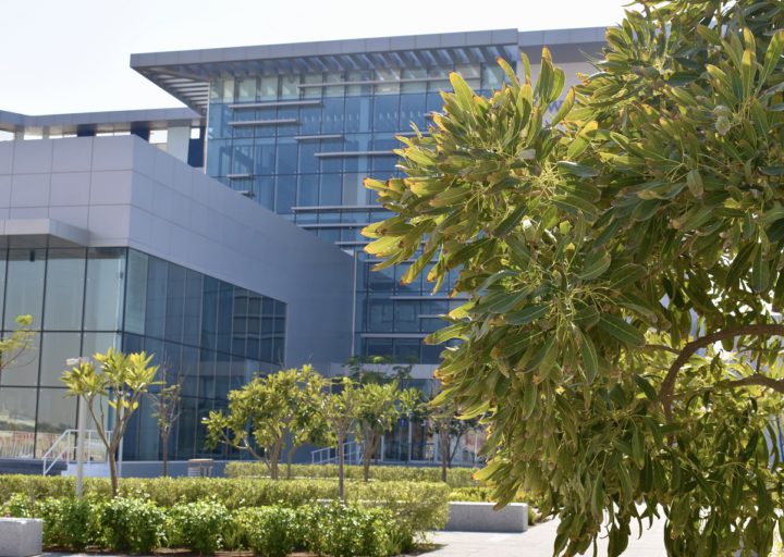 Bloom World Academy